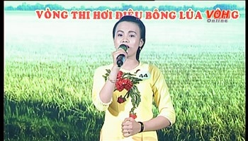 Giải Bông Lúa Vàng (Vòng thi Hơi điệu - Buổi  2) - 19/08/2017