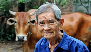 Hướng dẫn xem ảnh: Phần 1-Thế nào là một tấm ảnh dễ xem?