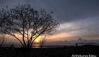 Cần Giờ tỏa sáng trước ngày kỷ niệm
