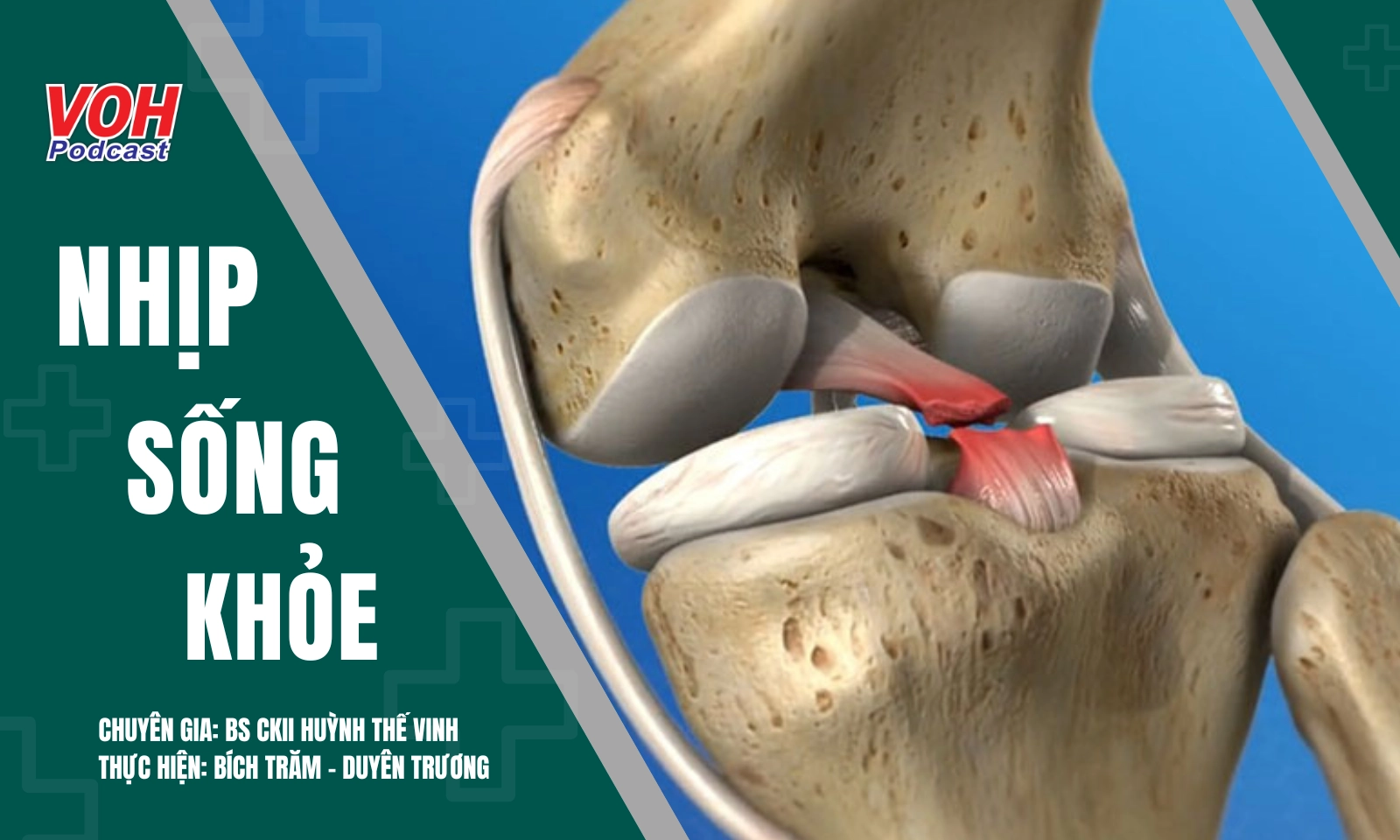 Đau đầu vì đứt dây chằng chéo khớp gối? Giải pháp tối ưu cho vận động linh hoạt