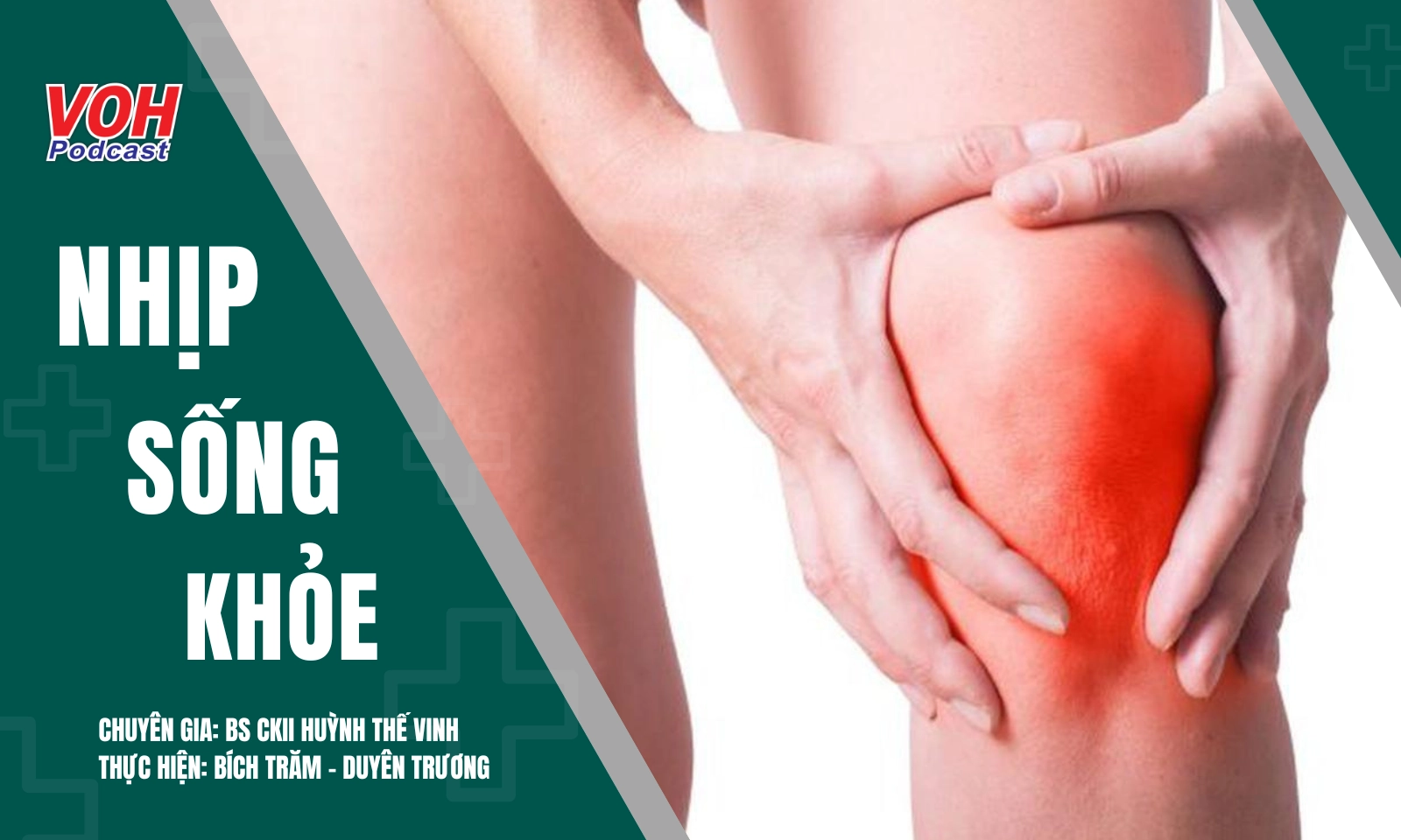 Dây chằng chéo khớp gối tái sinh: Bí quyết nào cho hành trình hồi phục?