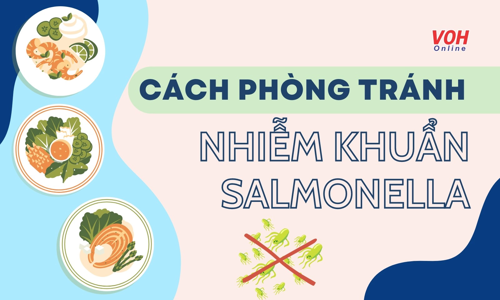 Cách phòng tránh ngộ độc thực phẩm do khuẩn Salmonella