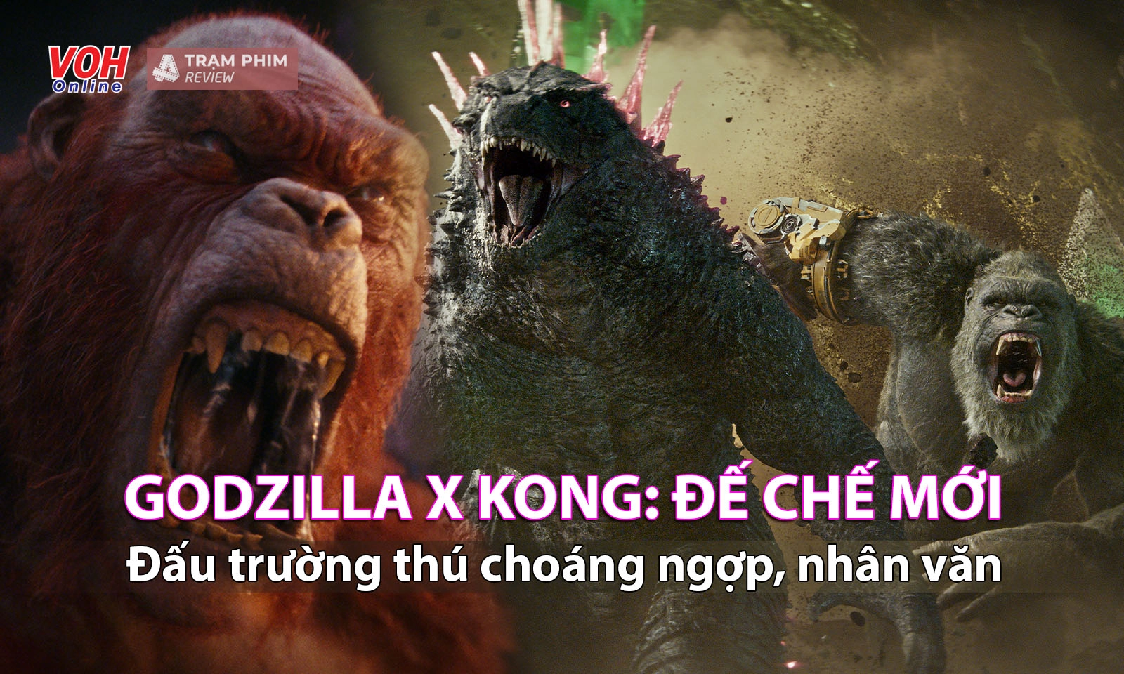 Review Godzilla x Kong: Đế Chế Mới - Đấu trường thú choáng ngợp không kém phần nhân văn
