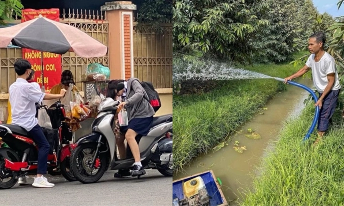 Điểm tin chiều 26/4: Tăng cường xử lý HS vi phạm ATGT ở TPHCM | Xâm nhập mặn giảm từ cuối tháng 6