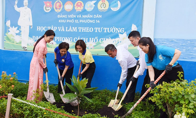 Phường 14 quận 10 trồng cây bàng vuông từ Trường Sa gửi tặng  