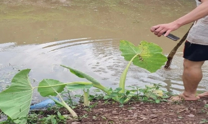 Vĩnh Phúc: Hai học sinh lớp 9 đuối nước