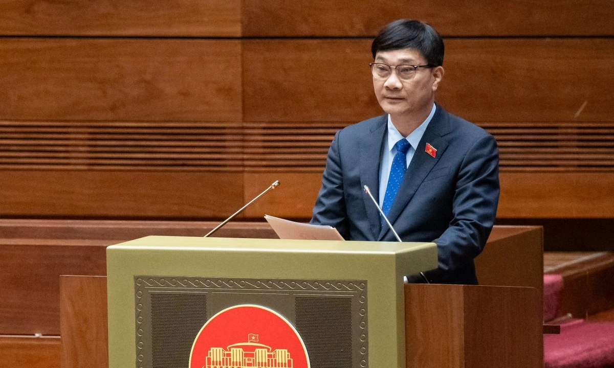 Luật Đấu giá tài sản: Quy định cụ thể việc đấu giá với một số tài sản đặc thù
