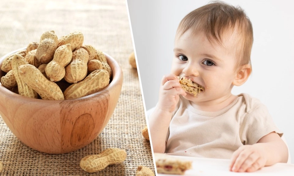 Cho trẻ ăn đậu phộng sớm giúp giảm nguy cơ dị ứng đậu phộng