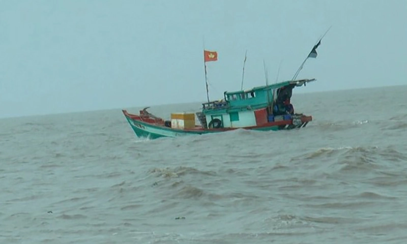 Cứu 5 ngư dân bị chìm tàu trên biển, đã vào bờ an toàn