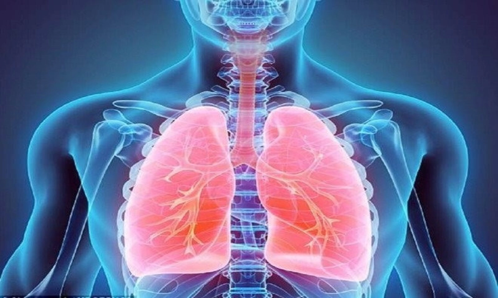 Các cách giữ cho phổi luôn khỏe mạnh