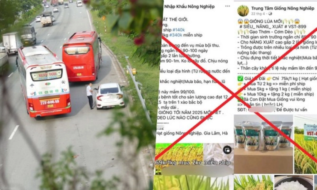 Điểm tin sáng 5/7: Nạn xe dù, bến cóc vẫn nhức nhối | Bắt nhóm lừa đảo bán thóc giống trên mạng