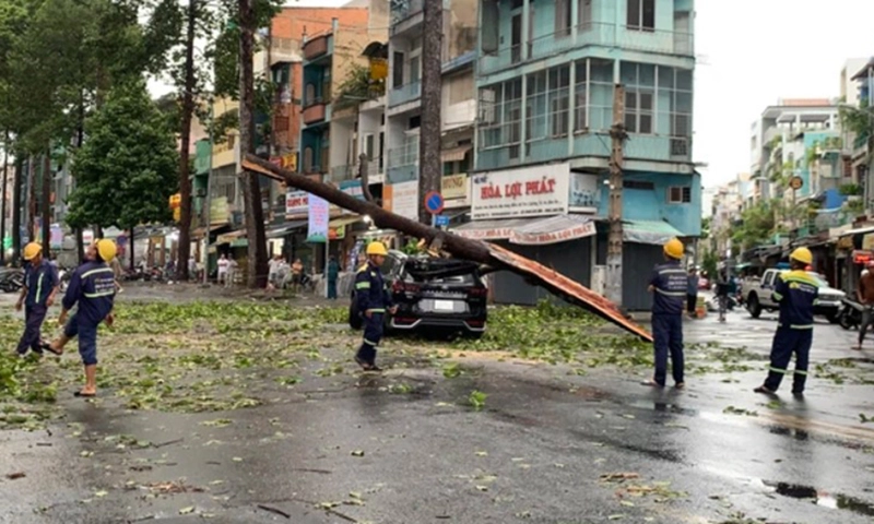 TPHCM: Gió mạnh làm cây bật gốc, tường, bảng hiệu đổ, ô tô bị cây đè 