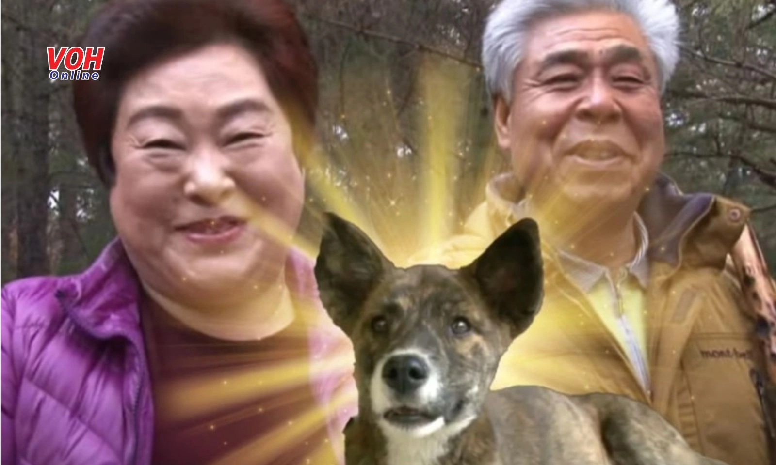 Chú chó sống lại chui ra từ nấm mồ quay trở về nhà