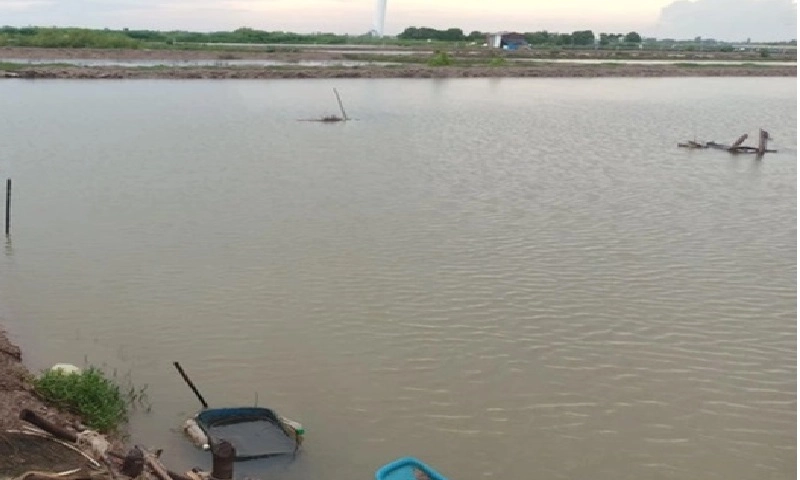 Hai bé trai song sinh đuối nước tử vong trong vuông tôm ở Bạc Liêu