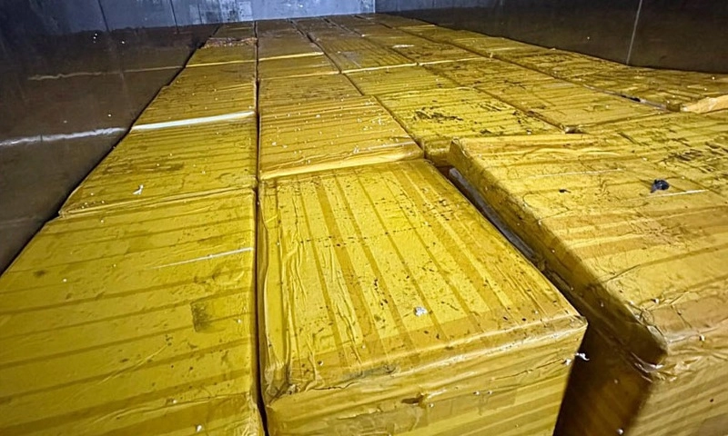 Bắt giữ lô hàng trứng gà non đông lạnh nhập lậu: Tổng trị giá hơn 720 triệu đồng