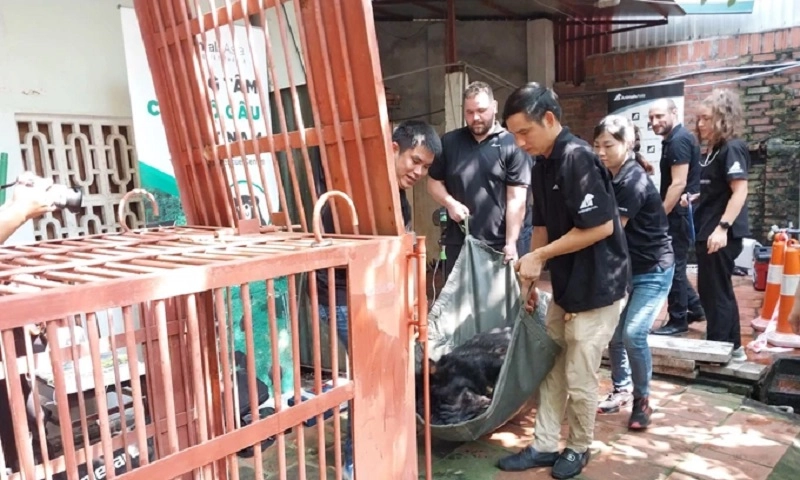 Phê duyệt chương trình quốc gia bảo tồn các loài động vật hoang dã nguy cấp, quý, hiếm