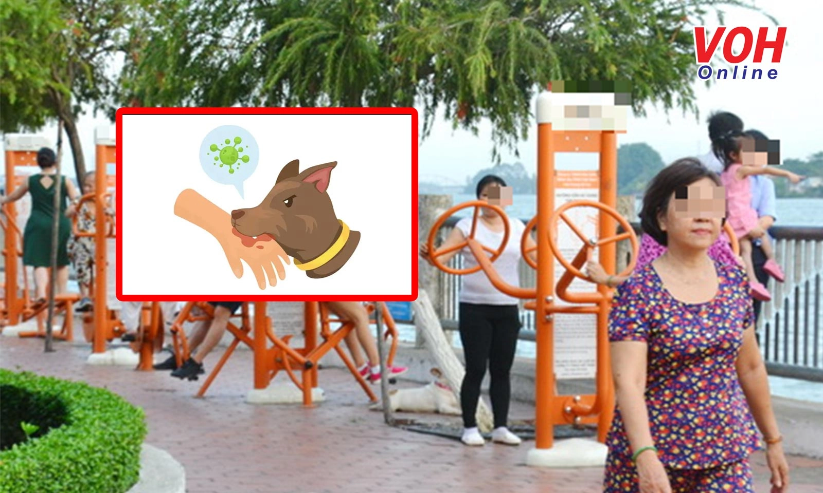 Hơn chục người đang đi tập thể dục thì bất ngờ bị chó dại cắn ở Đồng Nai 