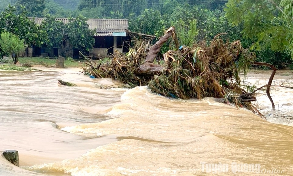 1 người chết do lũ ống tại Tuyên Quang