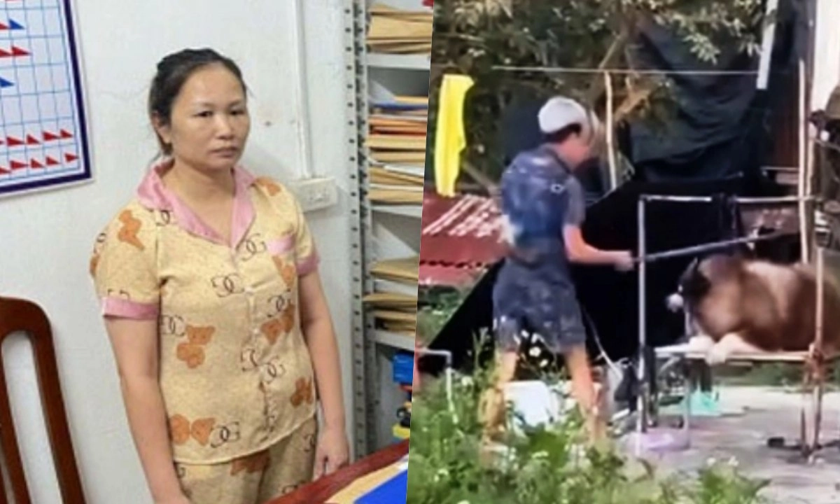 Điểm tin sáng 22/8: Lừa đảo tiền tỷ bằng chiêu giải bùa ngải | Mạnh tay với việc ngược đãi động vật
