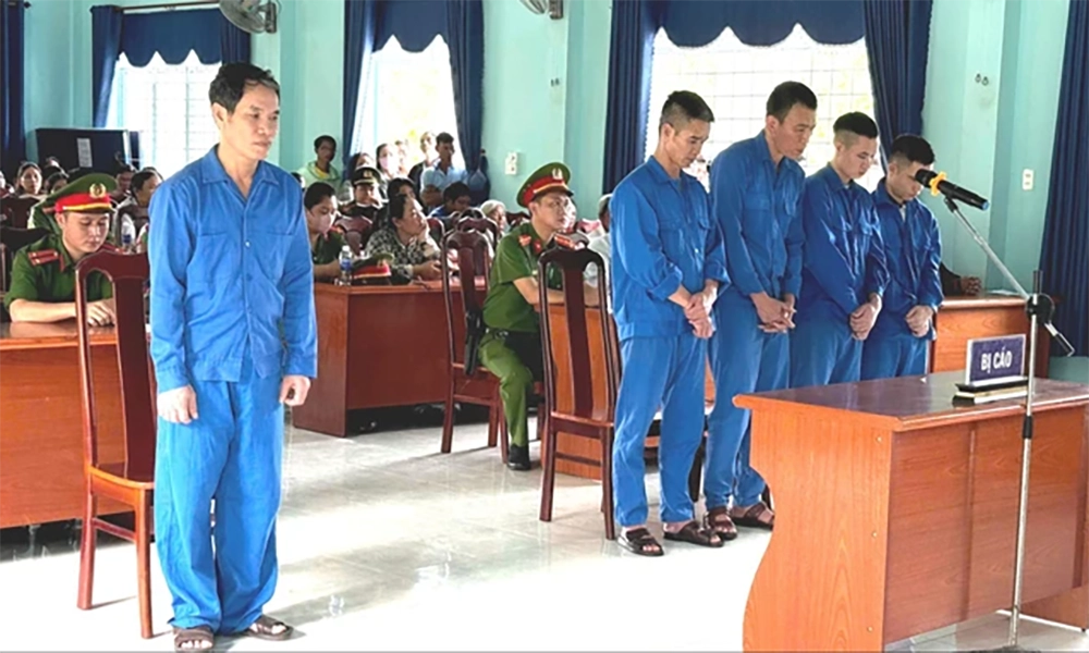 Nhóm khai thác gỗ lậu lĩnh án 119 tháng tù