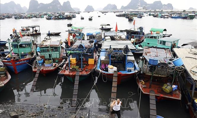 4 tàu cá bị chìm, 1 người mất tích ở Quảng Ninh