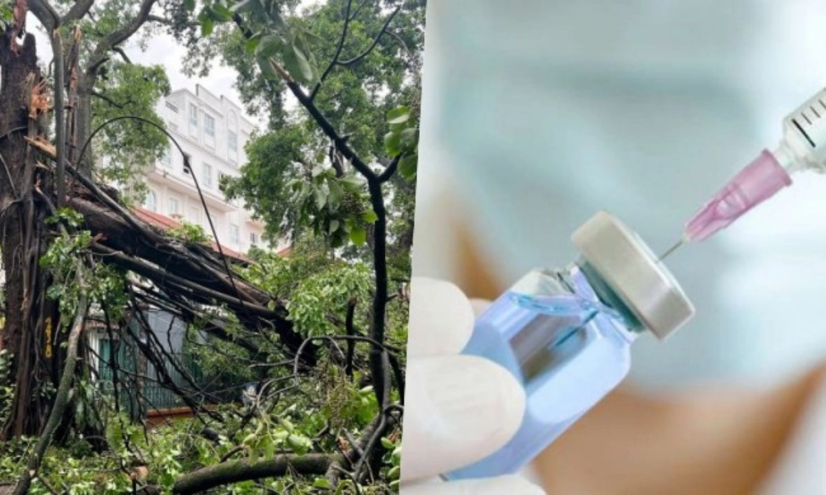 Điểm tin sáng 9/9: Bão số 3 khiến 25.000 cây xanh gãy đổ | Tử vong sau tiêm thuốc tại phòng khám tư