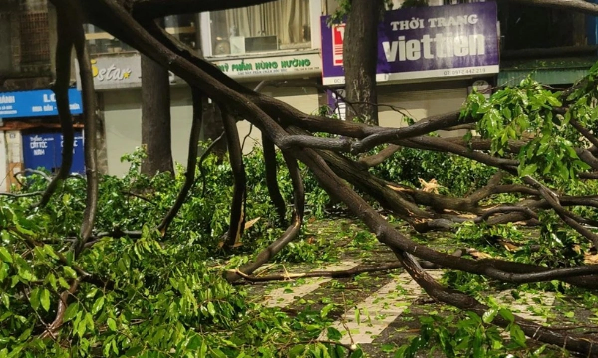 Hà Nội: Số người chết tăng lên 4 do bão Yagi, hàng ngàn cây xanh gãy đổ