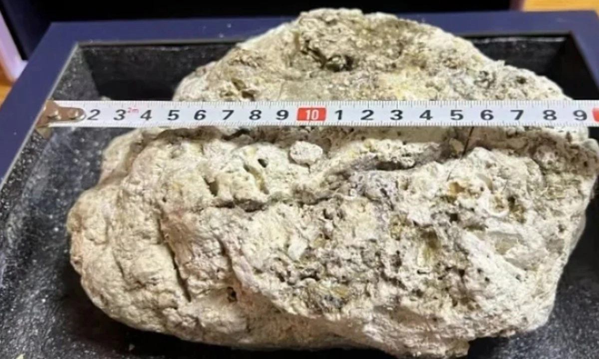 Nhặt bừa cục đá khi tham quan, nghi long diên hương trị giá 27 tỷ đồng