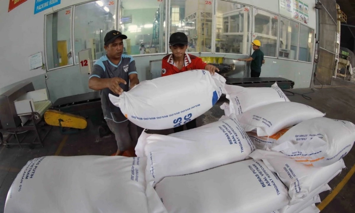 Cả nước có 163 thương nhân được cấp chứng nhận đủ điều kiện kinh doanh xuất khẩu gạo