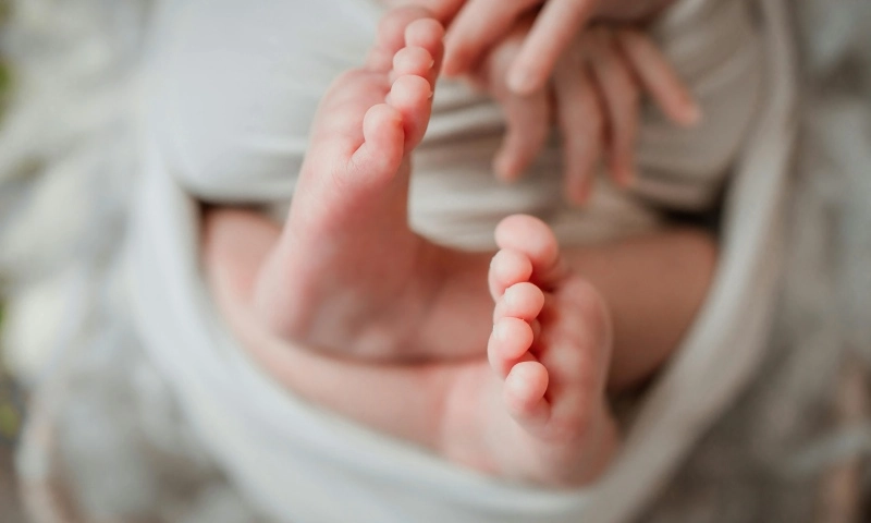 TPHCM: Tỷ suất sinh tăng nhẹ nhưng vẫn ở mức báo động