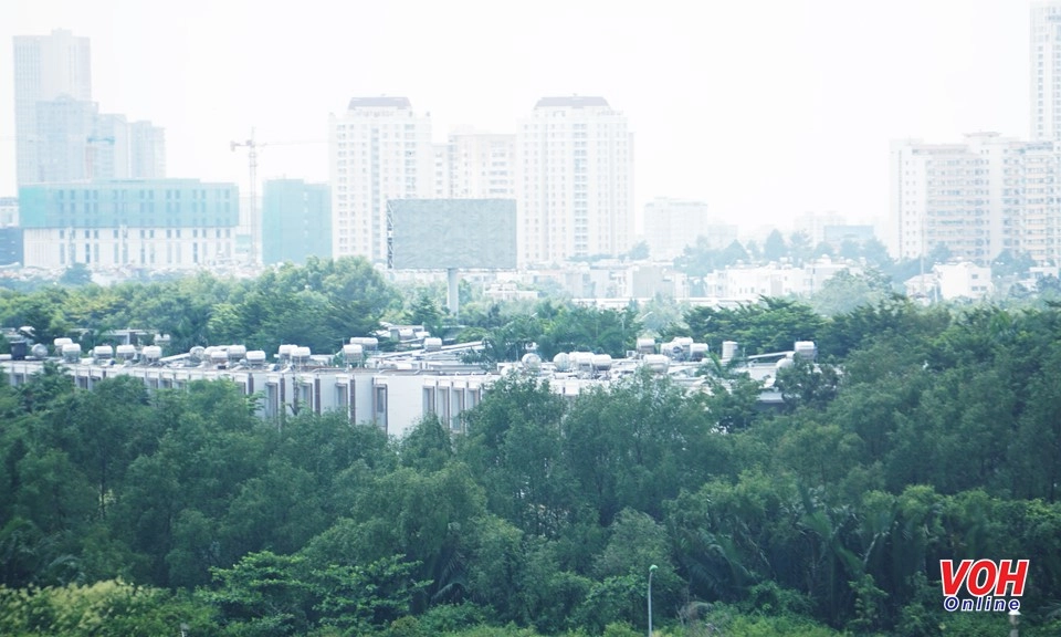 Điểm tin chiều 6/11: Thu thuế từ giao dịch nhà đất tại TPHCM tăng 54% 
