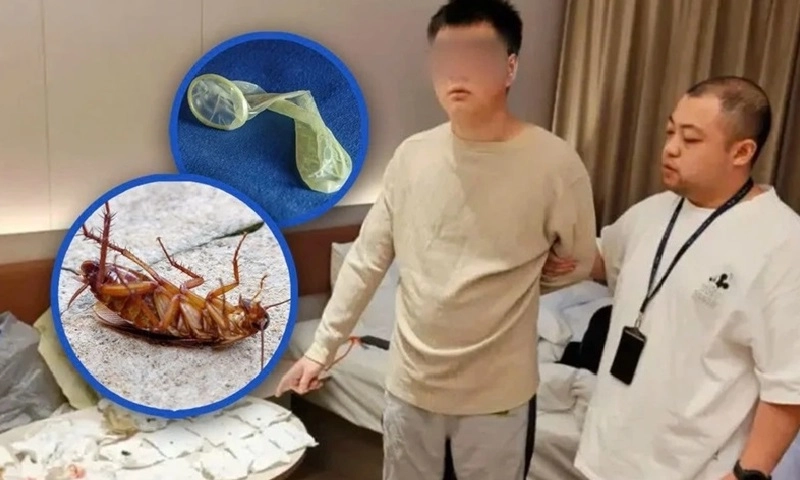 Dùng gián chết, tóc và bao cao su tống tiền hơn 60 khách sạn