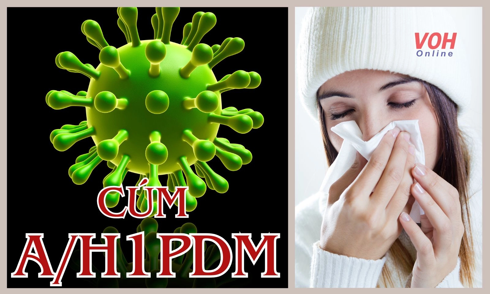 Cúm A/H1PDM là cúm gì, có nguy hiểm không?