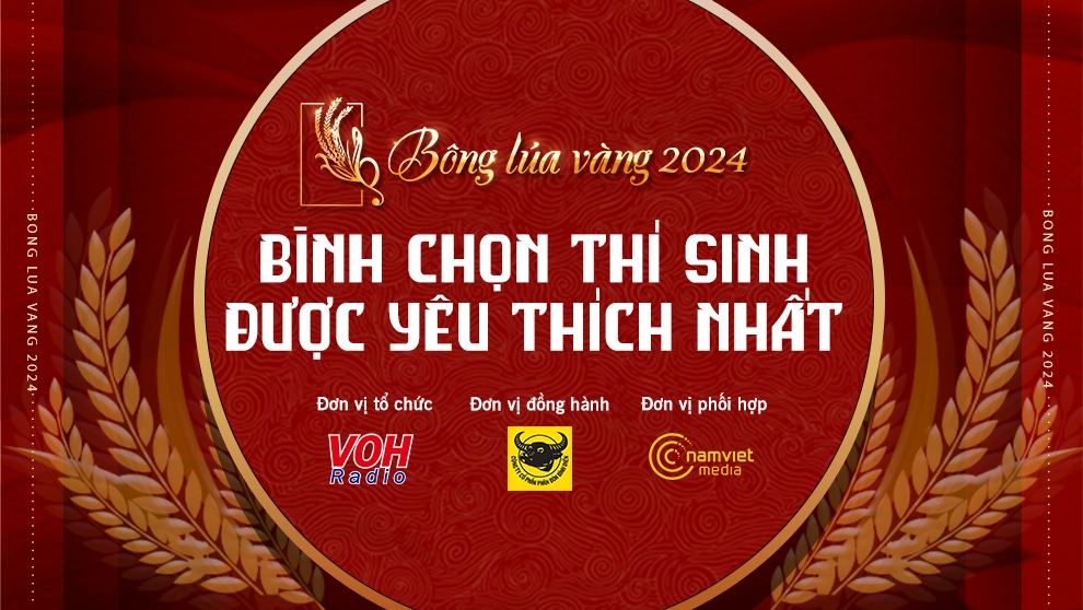 Bông Lúa Vàng