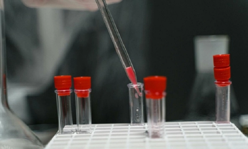 Australia làm thất lạc 300 lọ virus