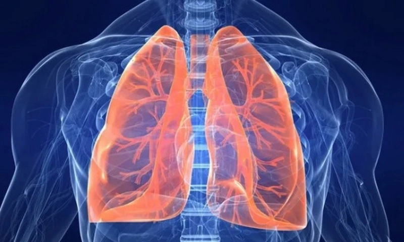 WHO lên tiếng về sự gia tăng virus HMPV