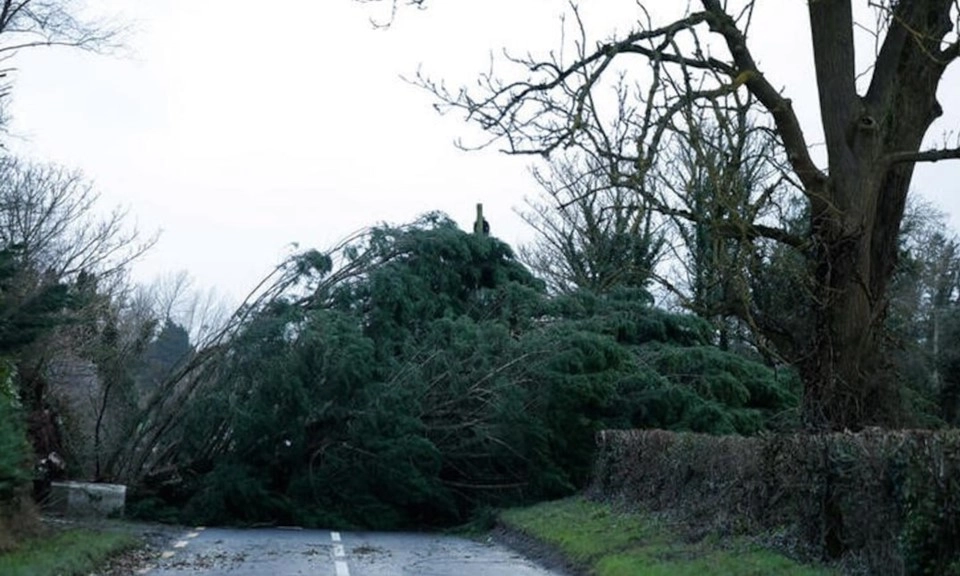 Ireland và Bắc Ireland bị tàn phá bởi cơn bão mạnh kỷ lục