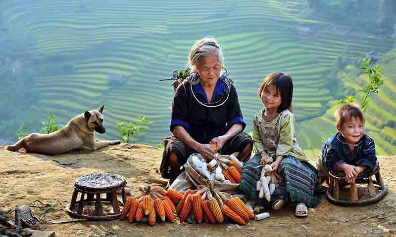 Xuân Quê hương Ất Tỵ - 2025