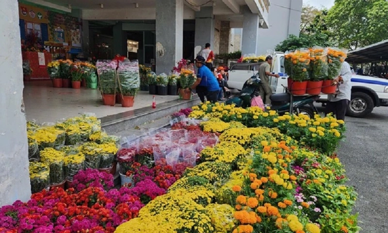 Sở Du lịch TPHCM tổ chức chương trình mua hoa tết hỗ trợ gia đình khó khăn