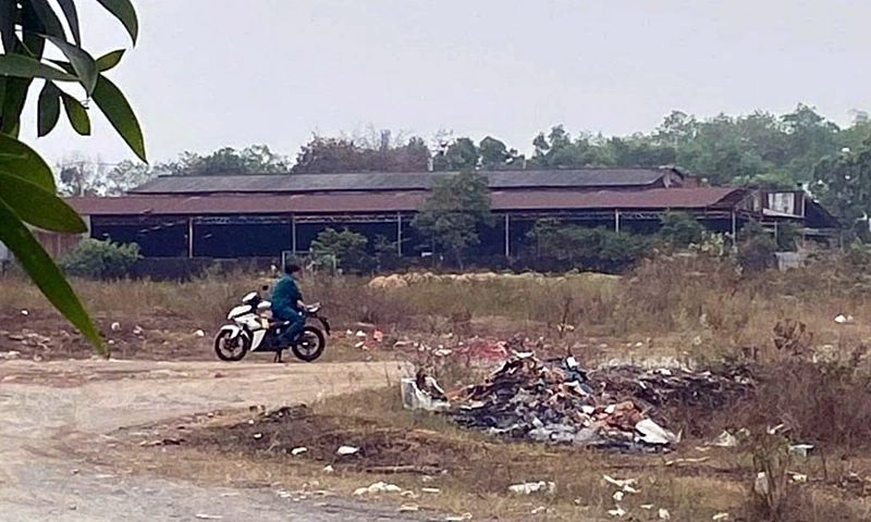Tài xế xe công nghệ bị đâm sau lưng, cướp xe SH và điện thoại 