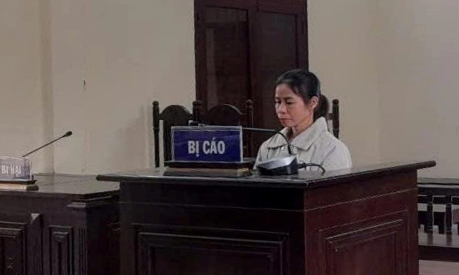 Con trai chạy xe đạp điện gây tai nạn, mẹ phải đi tù