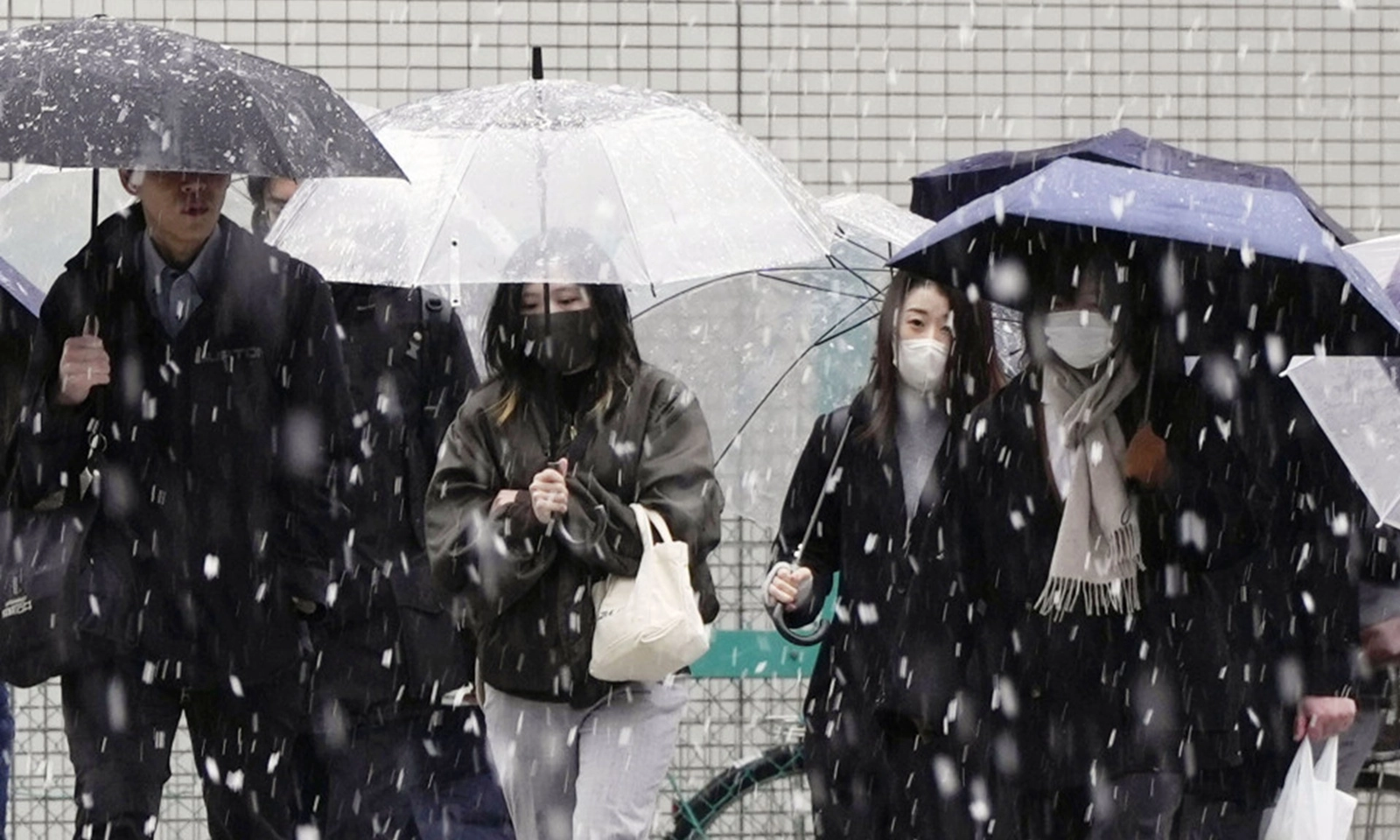 Tuyết rơi trái mùa ở Tokyo | Giông bão và sóng cao ở nhiều khu vực Nhật Bản