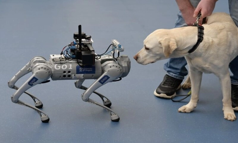 Robot chó dẫn đường: Đột phá trong công nghệ hỗ trợ người khiếm thị