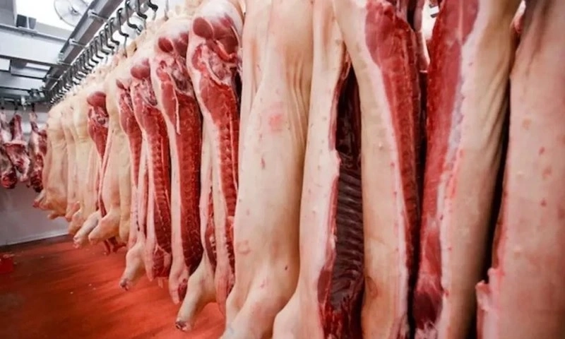 Giá thịt heo hơi tăng cao nhất trong 3 năm
