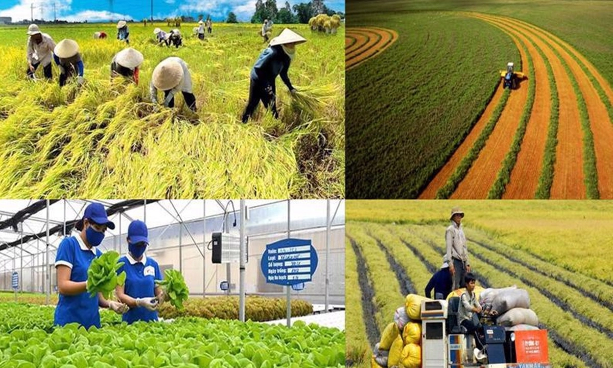 Tin phát triển bền vững 31/3/2025: Ngành nông nghiệp từ phát thải đến tạo tín chỉ carbon 