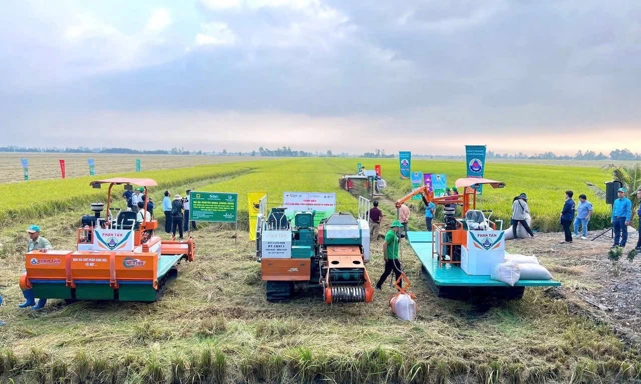 Canh tác lúa giảm phát thải: Hành trình nâng cao giá trị hạt gạo Việt