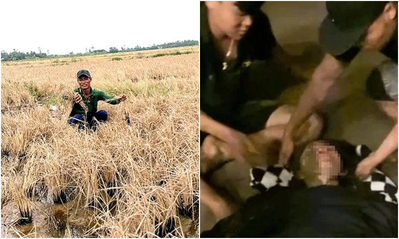 Điểm tin sáng 3/4: Làm rõ vụ lúa chết ở Hậu Giang | Cứu thiếu nữ khỏi dòng sông Sêrêpôk