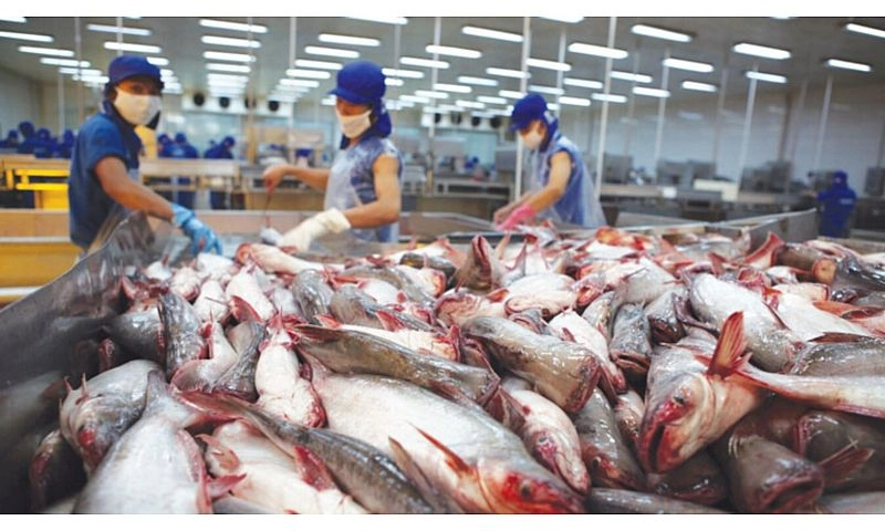Hàng Việt đang trên đường đến Mỹ không bị áp thuế bổ sung 10%