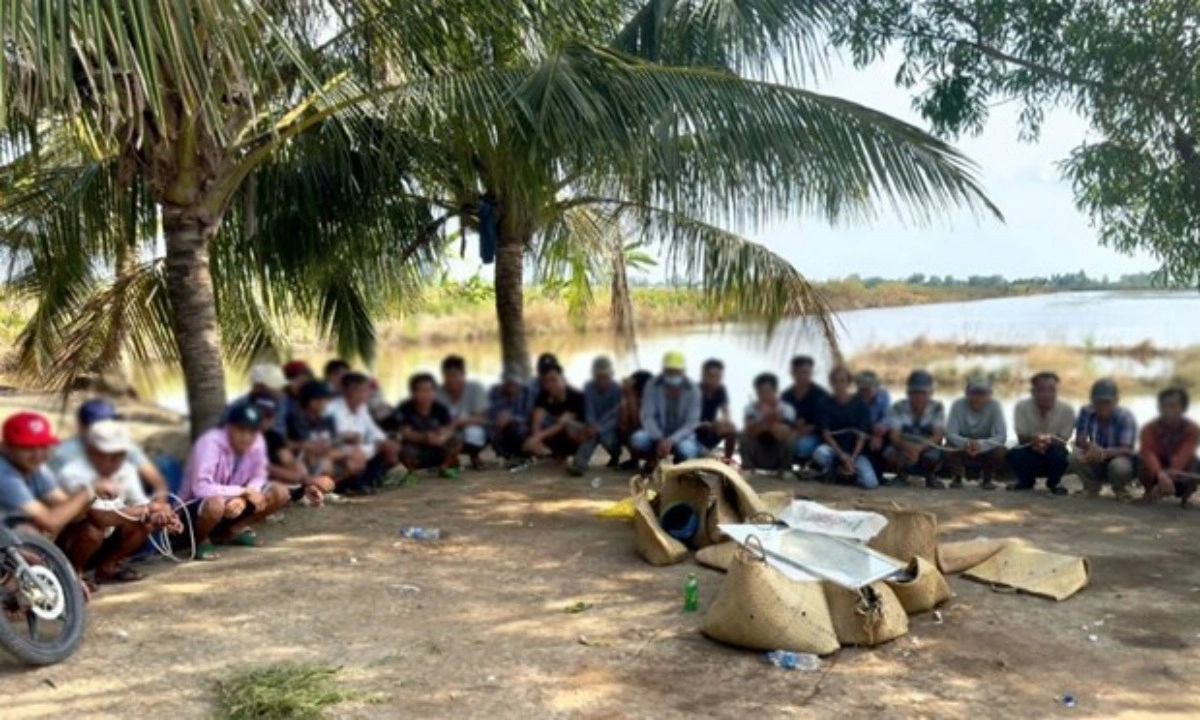 Kiên Giang: Triệt xóa tụ điểm đá gà ăn tiền giữa vuông tôm