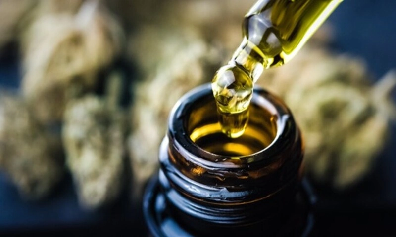 Nghiên cứu mới: Chiết xuất CBD từ cần sa có thể cải thiện hành vi ở trẻ tự kỷ
